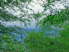 -蜀南竹海景区
