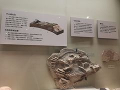 -天津自然博物馆