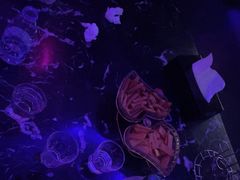 -糖果风尚KTV(犀浦店)