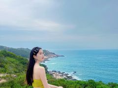 -广东惠东海龟国家级自然保护区