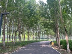 -东郊湿地公园