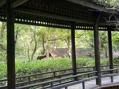 -黄公望隐居地