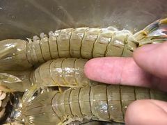 -三旗百汇商品城