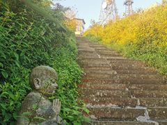 -武陵山森林公园