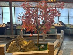-三凤酒家·百年无锡菜(清扬茂业店)