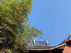 -呀路古热带植物园