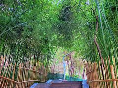 -长乐公园游乐场