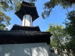 -上海佘山国家森林公园天马山园