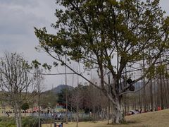 -牛岗山公园