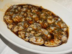 捞汁蛤蜊-玫瑰厅上海菜(兴国路店)