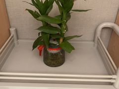 -和记小菜(名品店)