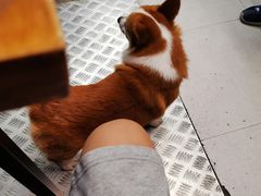 -小梁哥云吞面(黄贝岭店)
