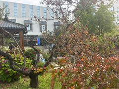 -北京邮电会议中心