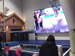 -Mr·Kuma酷么先生雪之乐园