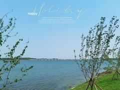 -丁香湖公园