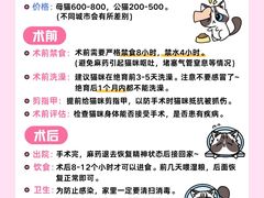 -守诺宠物医院·眼科· 特色牙科·异宠专科(虹口店)