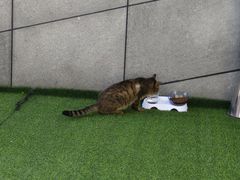 -UNIUNI(凯瑟琳广场店)