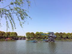 -上海鲜花港