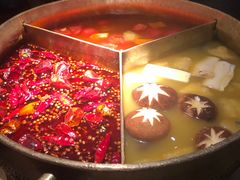 红颜花胶鸡锅-湊湊火锅·茶憩(世博大道店)