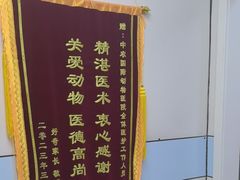 -中农国际动物医院24小时·猫科·骨科·急重症中心