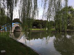 -中央公园(苏州工业园区)