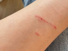 -上海市长宁区天山中医医院