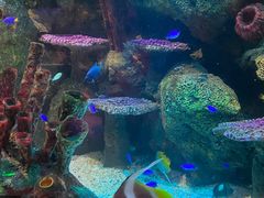 -沈阳海洋探索中心