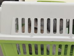 -天宠宠物医院24小时·急重症诊疗中心·全科·腔镜特色(和平分院)