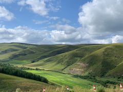 -塞罕坝国家级自然保护区