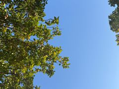 -洋湖国家湿地公园