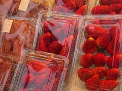 -每日新鲜水果吧(南京东路店)