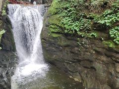 -牛背梁国家森林公园