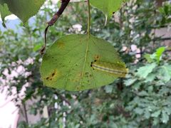 -北京山里寒舍度假酒店