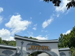 -杭州少年儿童公园