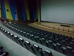 -天幕新彩云国际影城(激光巨幕店)