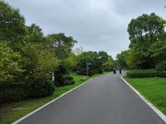 -东平国家森林公园