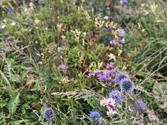 -白草畔自然风景区