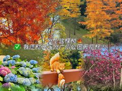 -云溪植物园