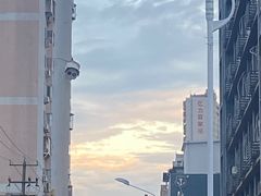 -溪岸路花鸟市场