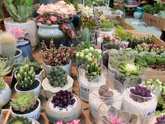 -双季花艺园艺市场(浦东店)