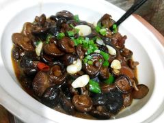 -陈厨老家菜馆(新苑店)