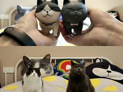 -西西弗书店(城西银泰城店)