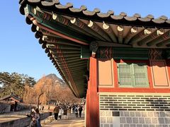 -青岛胶东国际机场