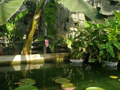 -国家植物园南园