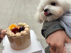 -小淘圆儿·四季口味蛋糕