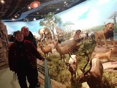 -陕西自然博物馆