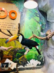 -Zoolung Zoolung动物主题公园(海信广场店)