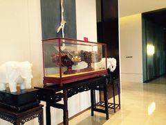 -舟山希尔顿酒店