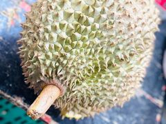 -泰国华泰地产