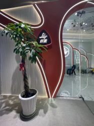 点击看大图 -Lily纤美·科技减脂中心